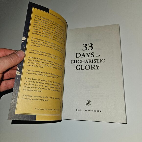 8 Paperback Books Lot 33 Days to Eucharistic Glory Catholic DUPLICATES - Picture 10 of 12